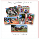 Gorey Show 2017