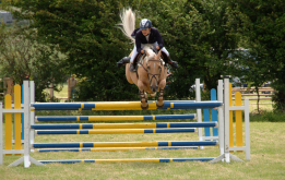 Show Jumping